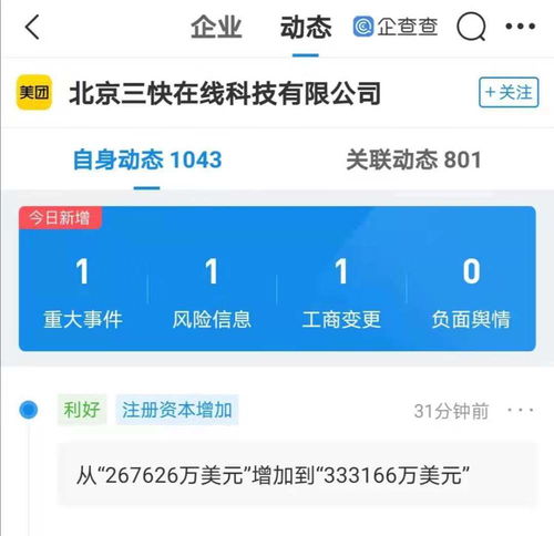 計(jì)算機(jī)軟件開發(fā)與銷售 技術(shù)核心與市場(chǎng)策略的雙重驅(qū)動(dòng)